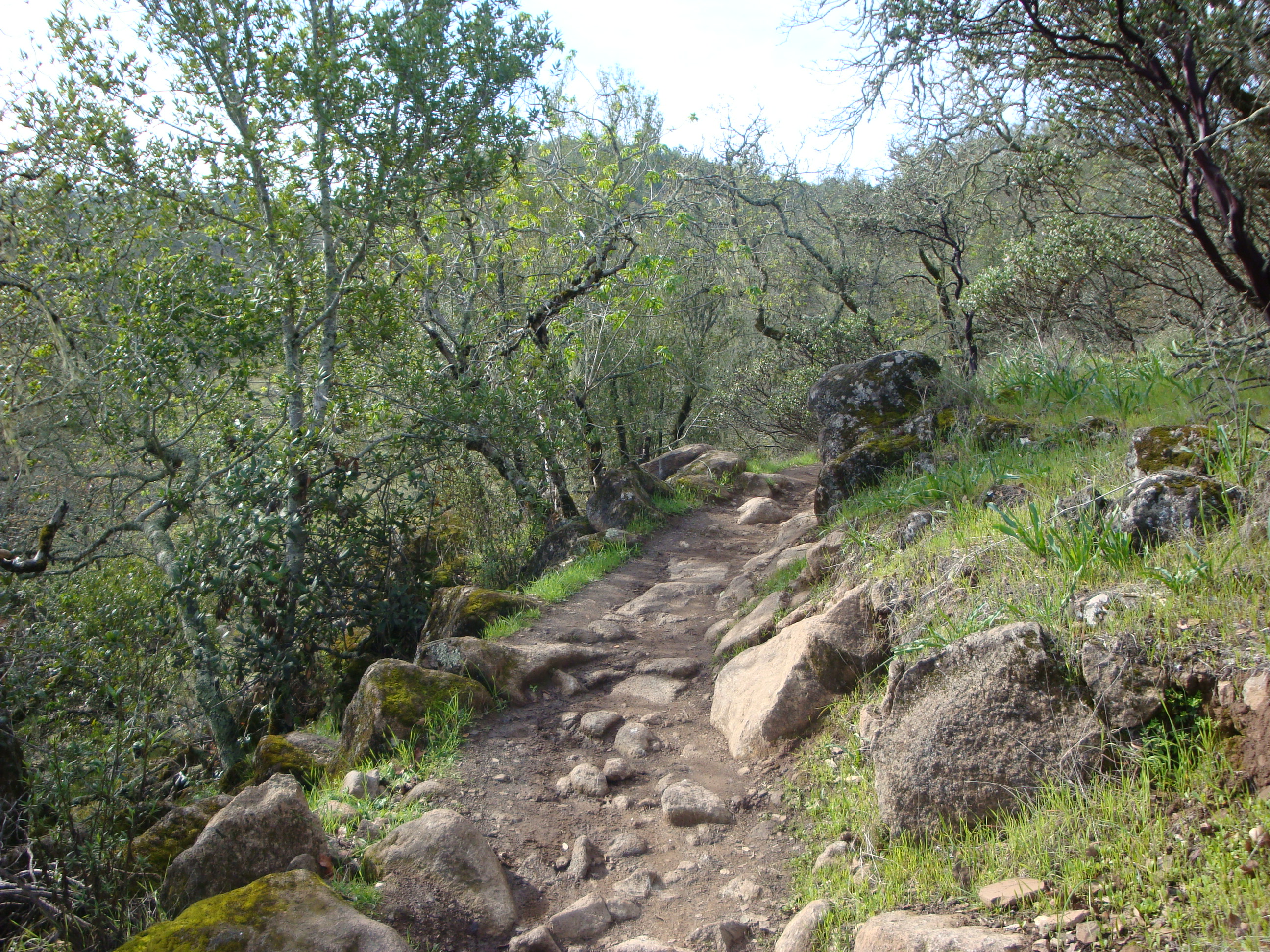 Cobblestone Trail