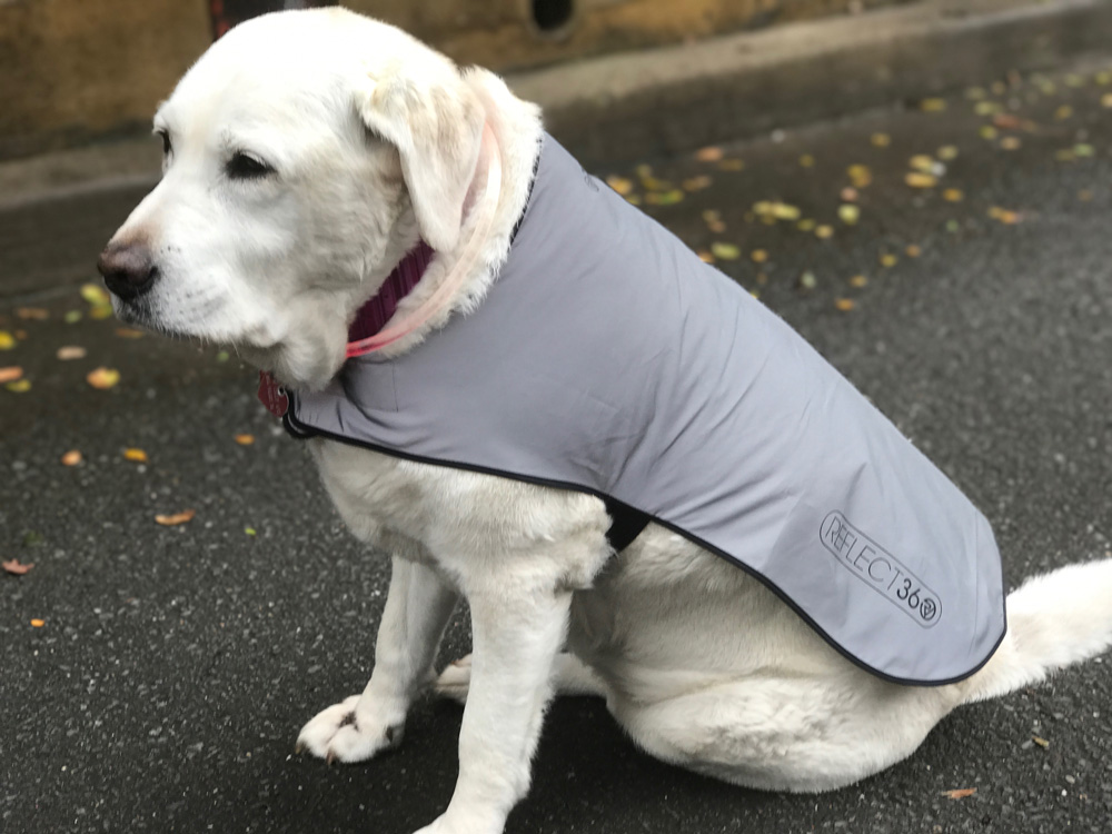 Waterproof Dog Jacket