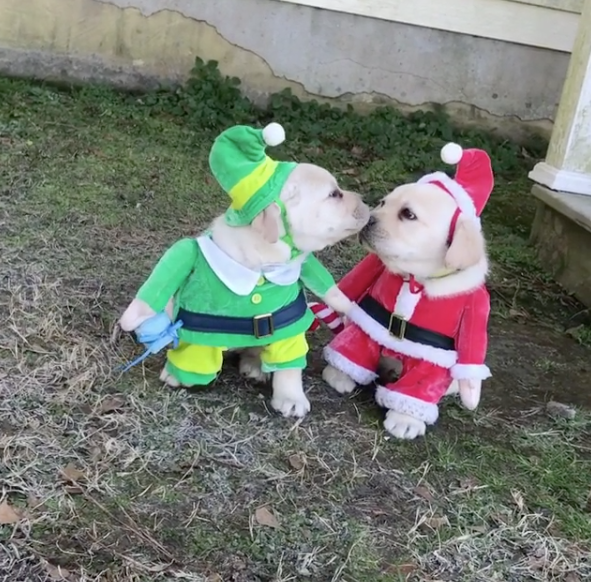 Santa and Elf